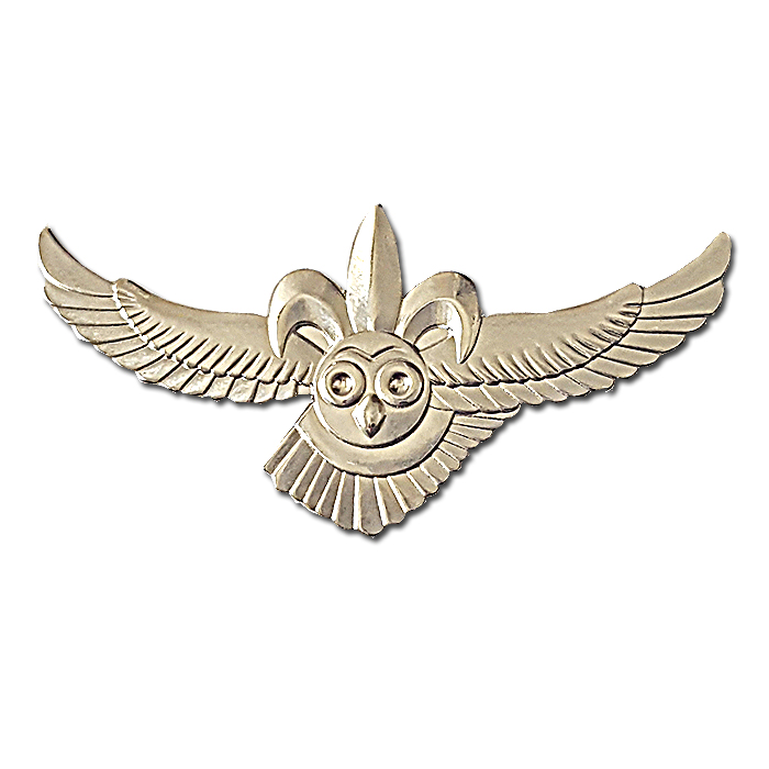 Overview Regiment Nitzan Insignia pin (until the year 2000)