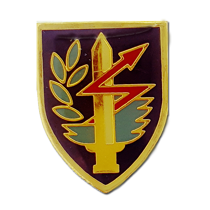 Main Command Of  Signal Corps Pin