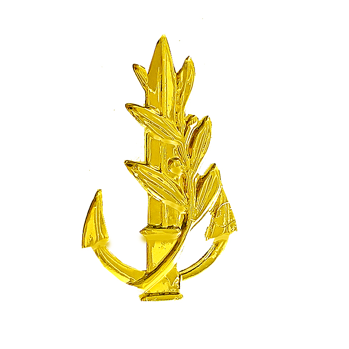 Small Naval Officer Pin