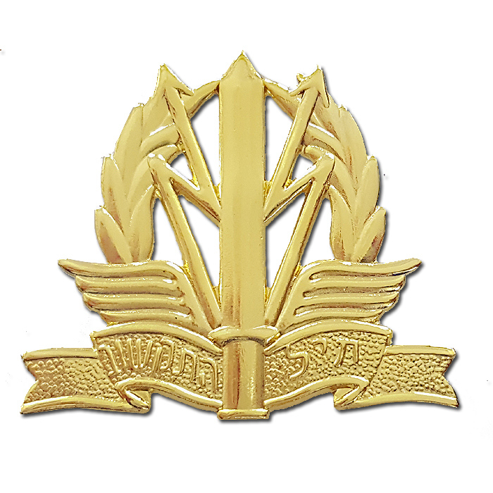 Teleprocessing C4I communications Corps ICT Beret Hat Badge Gilded Beret's Symbol / Hat Badge.