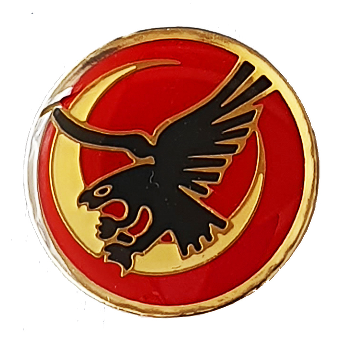 The Valley Squadron pin