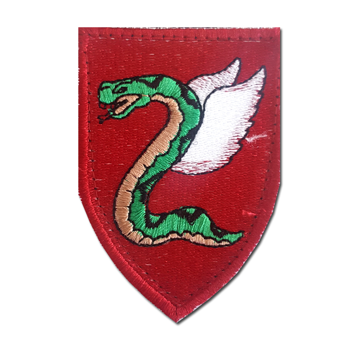 Paratroopers Airborne Infantry Brigade Embroidered Arm Patch
