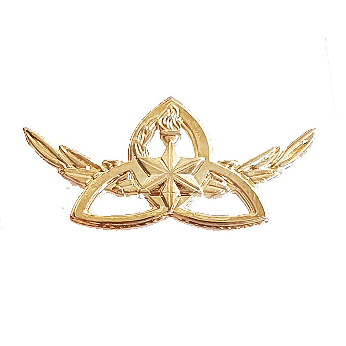 Distinguished Graduate Command and Staff Course (POM) combined gilded badge.