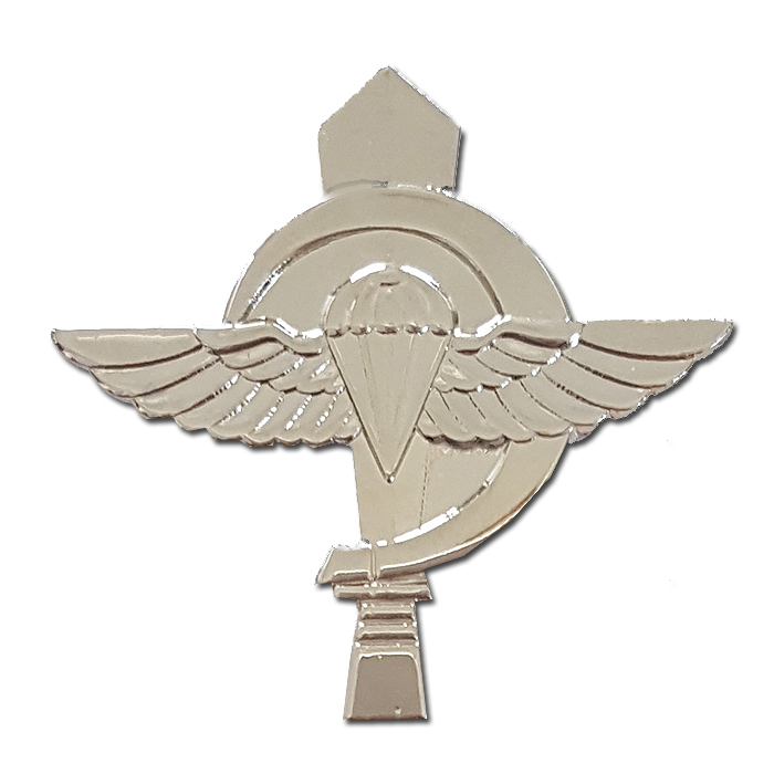 "Parachute Nachal" -  50th Battalion "Bazelet"  Large Pin