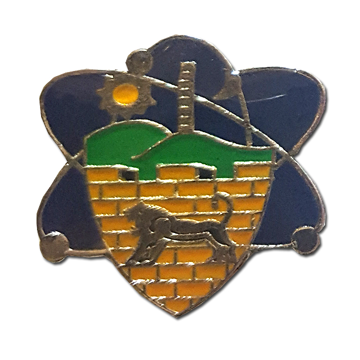 "Binyamin" regional brigade Signal Company pin