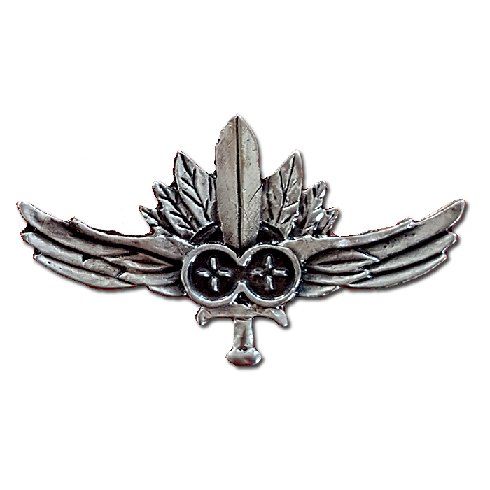 Israeli Army Military IDF Combat Intelligence Collection Corps Company A (Almagor; "Indians") Pin