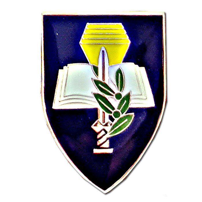 Alon Education and Training Base pin