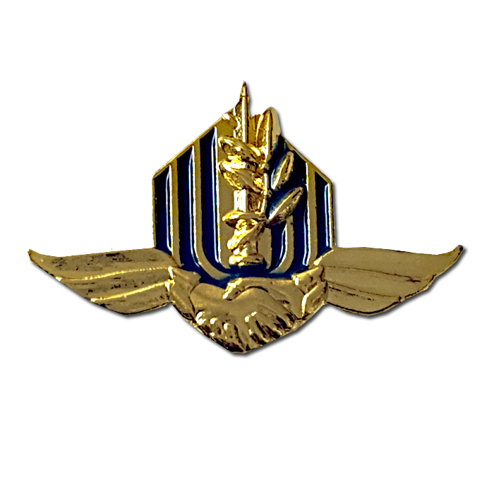 IDF, Israeli Army Coordinator of Government Activities in the Territories gilded pin