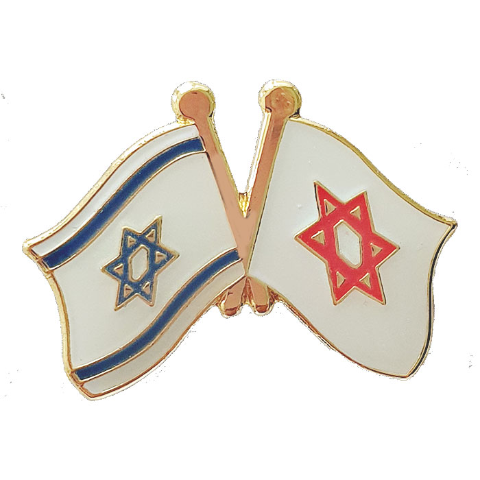 Israeli and The Magen David Adom Organization flags combined symbol Pin