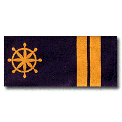 Naval Cadet second year rank #3