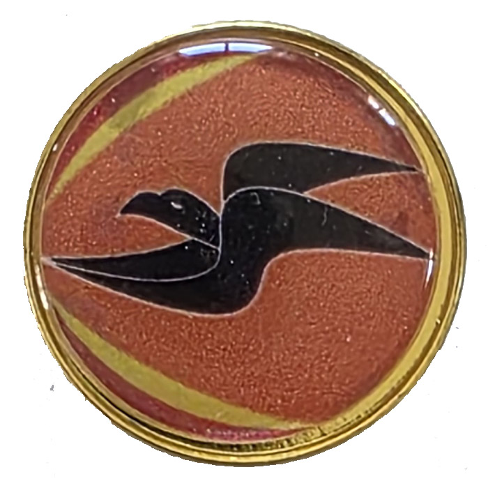 Air Force 166th Firebird Squadron pin since 2021