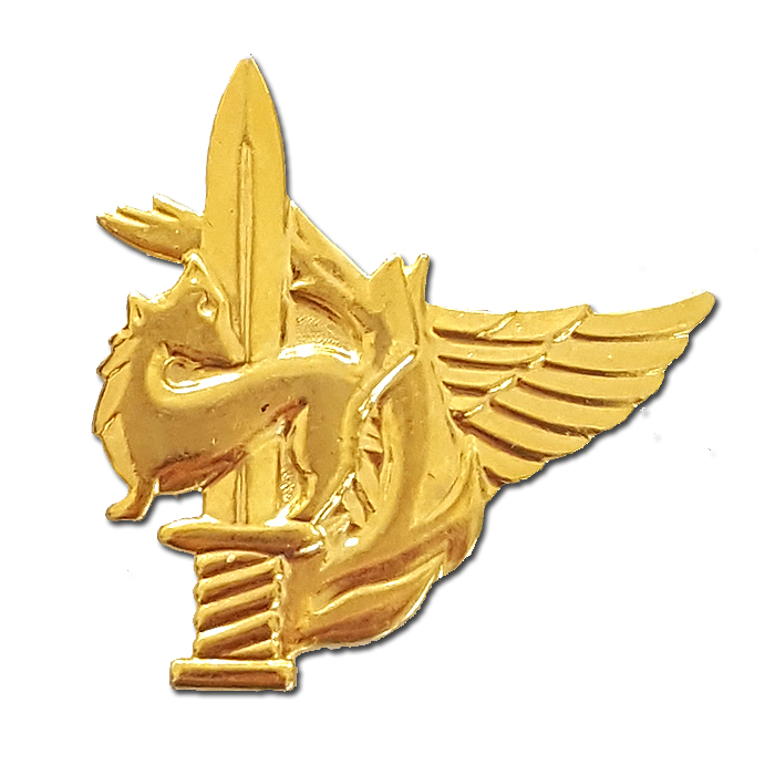 Givati Warrior Gilded Pin