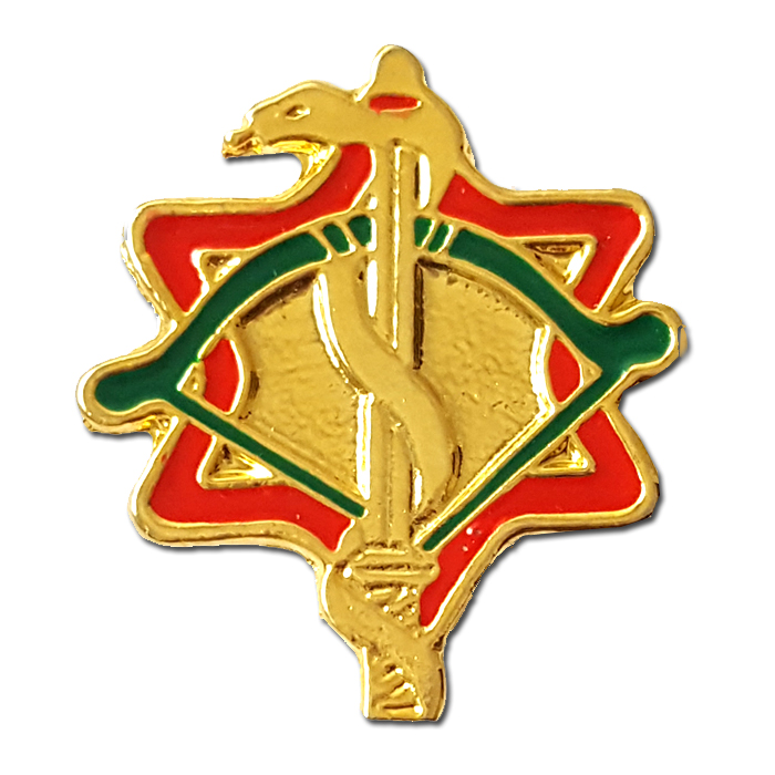Field Paramedic Pin