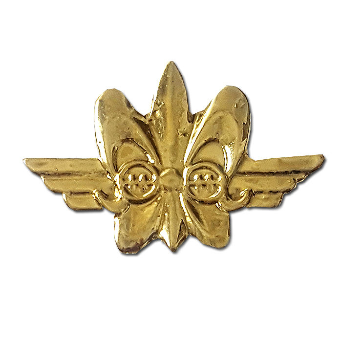 Combat Intelligence Corps Border Observation Gilded Pin