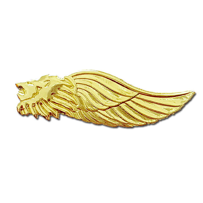 "Jordan Lions" Battalion of the Valley Division Worrier Gilded pin