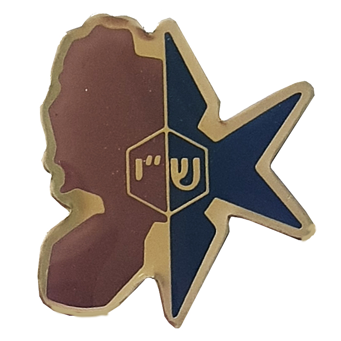 Regional SHAY District - Judea and Samaria District PIN.