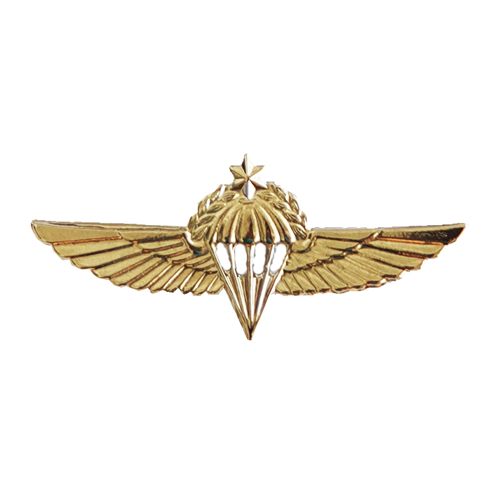 Senior paratrooper wings - Gilded Pin