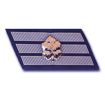 Staff Sergeant - Air Forces (obsolete)