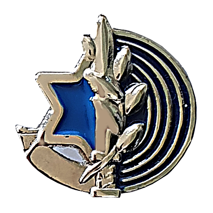 IDF Spokesperson's Unit pin