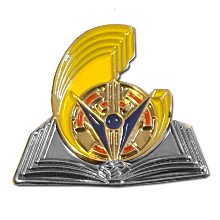 Logistics Corps instructor pin