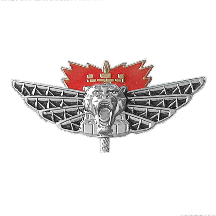 Combat Engineer's Fighter New Pin (2021).