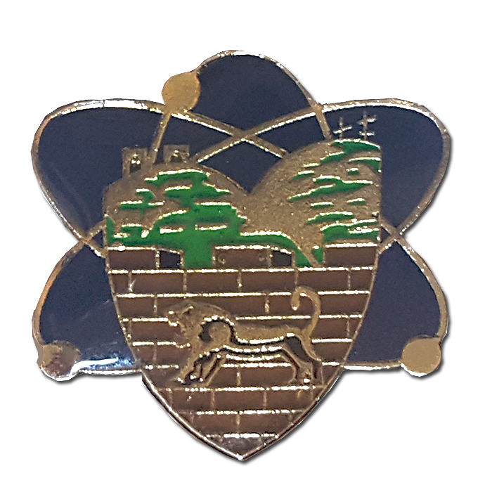 " Shomron" regional brigade Signal Company pin