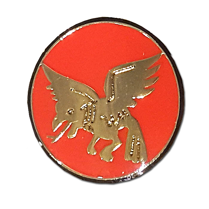 The "Night Birds of prey" Squadron pin