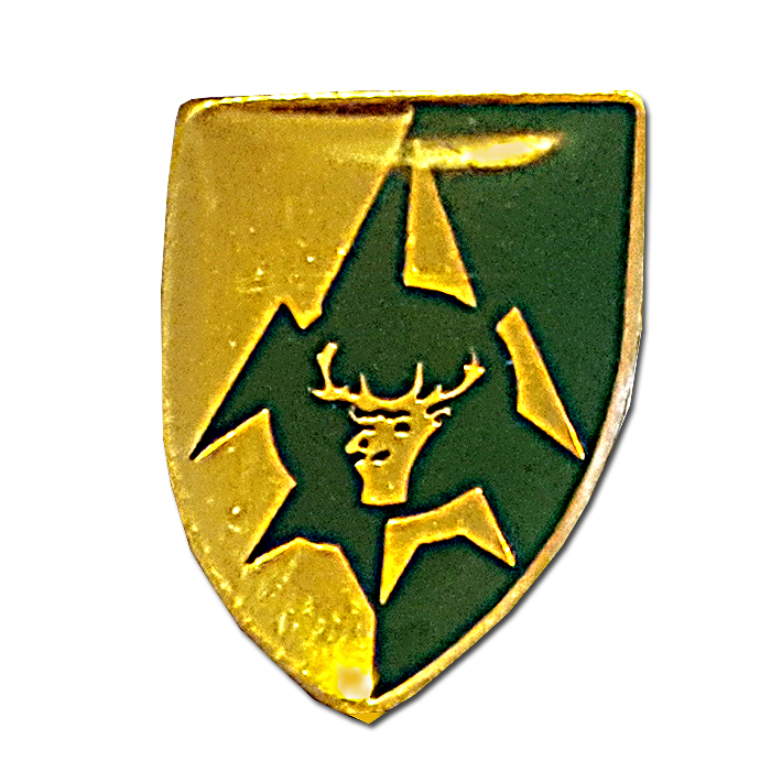 North Command Intelligence pin