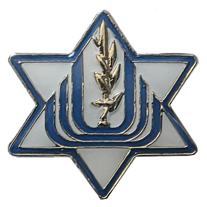 Undetailed Badge L.700.58.3 # (Y)