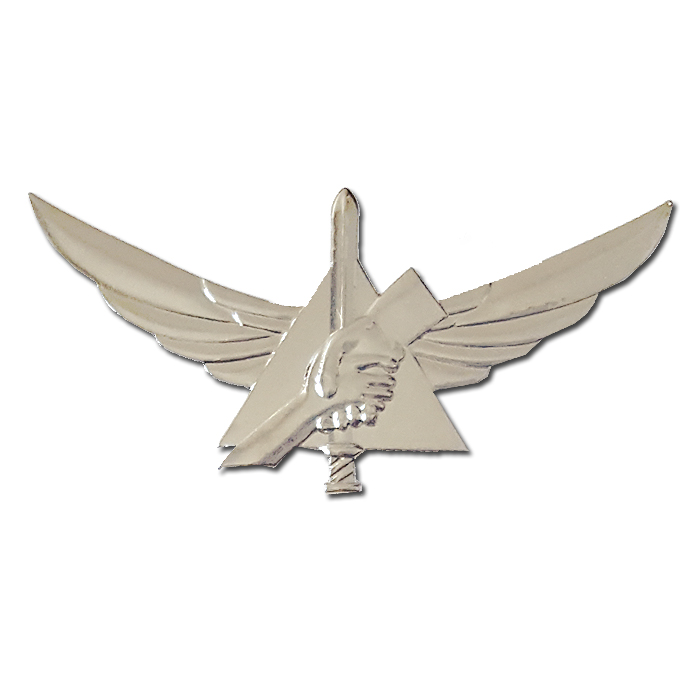 Home Front Search and Rescue Pin