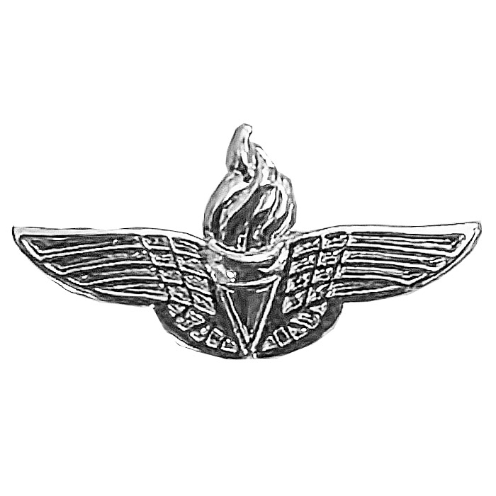 Israeli Air Force (IAF) Simulator Instructor pin