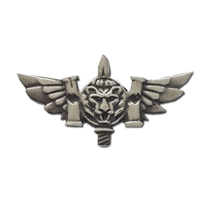 "KFIR" - 900th brigade warrior combat badge
