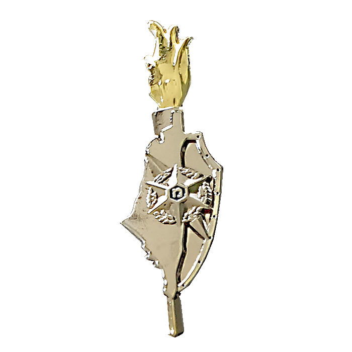 Designated police officers course graduate pin (new)