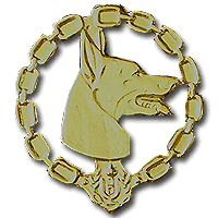 Israel Prison Service Dog Trainers Pin