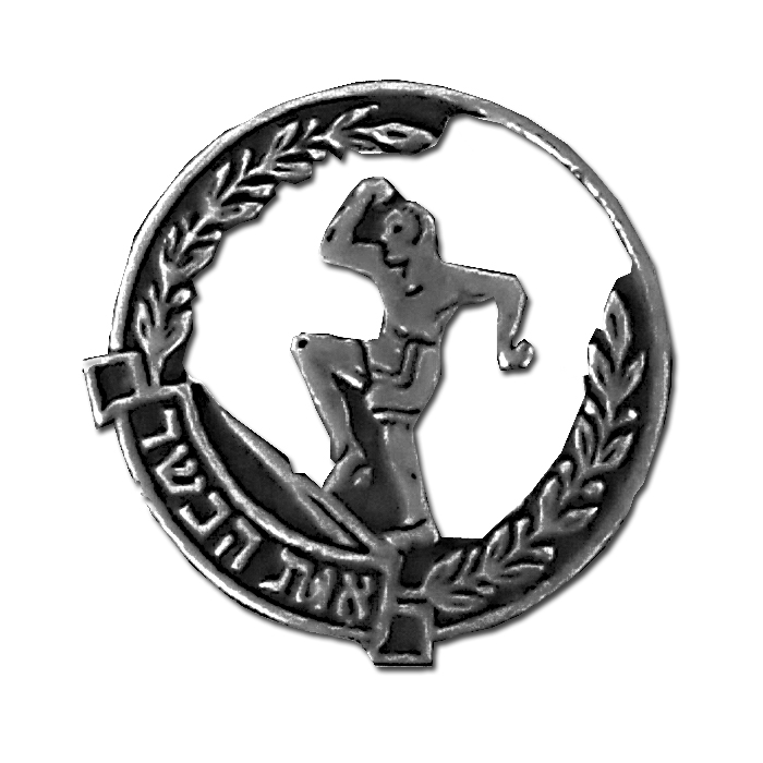 Silver Fitness Test Pin
