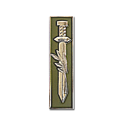 Warrior Spire Front Combat Fighters Ribbon Symbol Pin