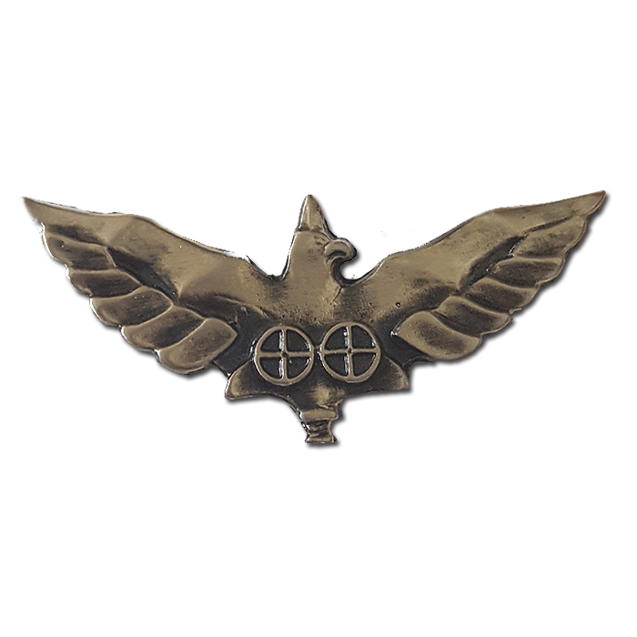 Eagle Regiment pin