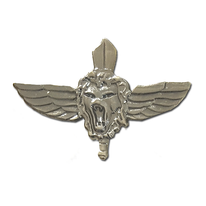 The "Netzah Yehuda" Battalion pin