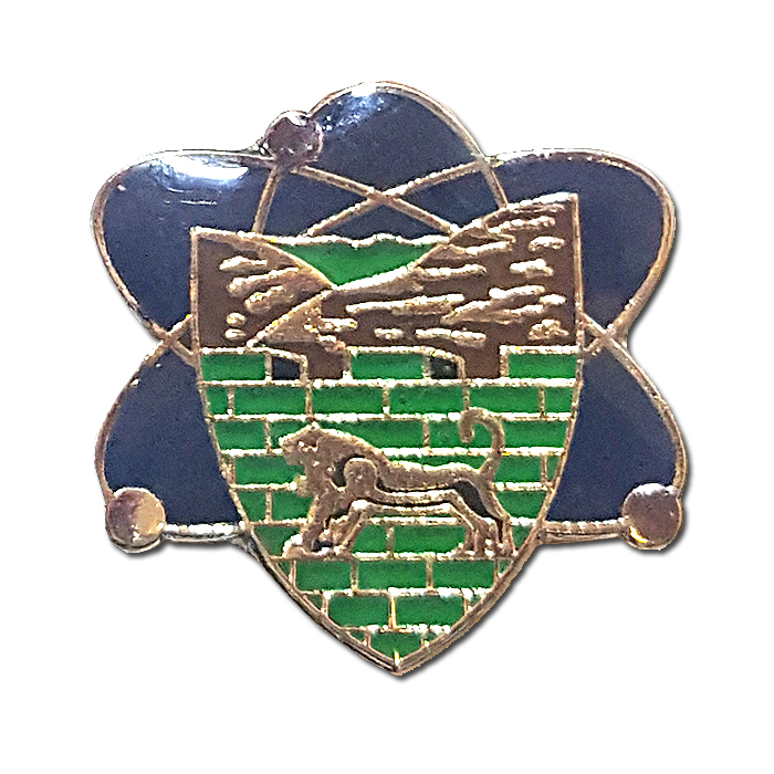 "Menashe" regional brigade Signal Company pin