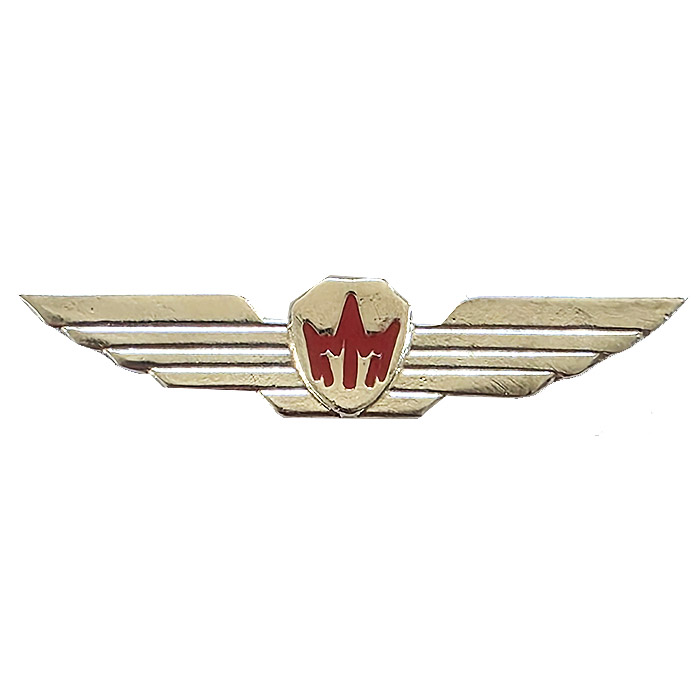 Airborne Electronic Warfare Operator Large Badge