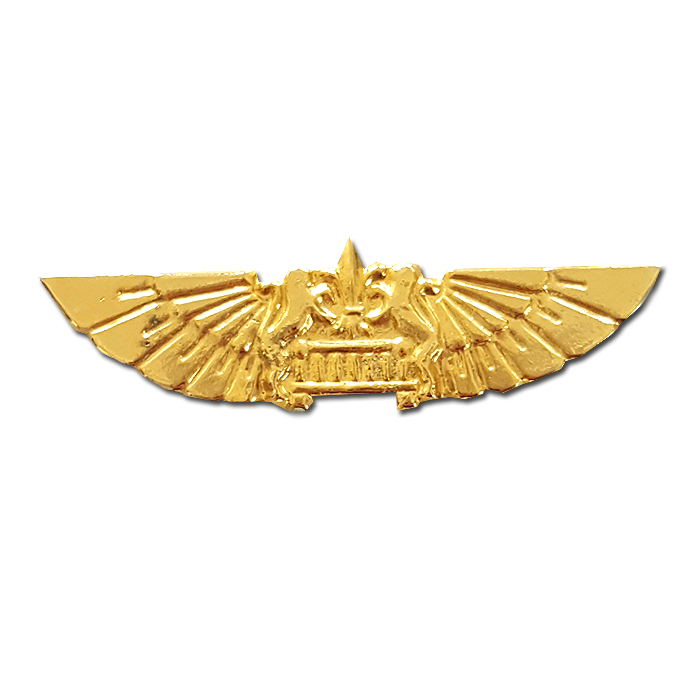 Haruv  Battalion Warrior Gilded Pin