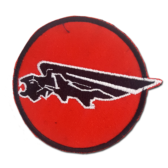 The Defenders of the South Squadron patch