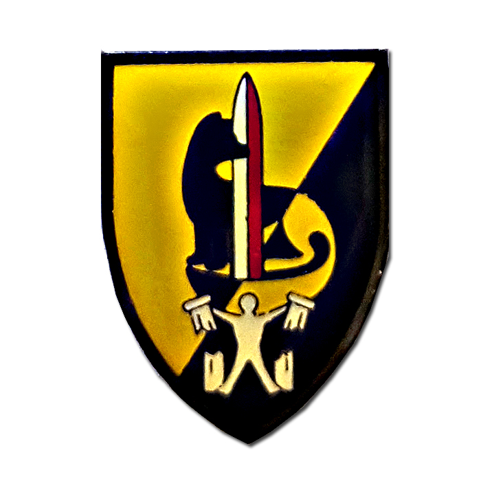 "Shimshon" regiment pin