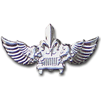 Haruv Elite Unit  Warrior Pin