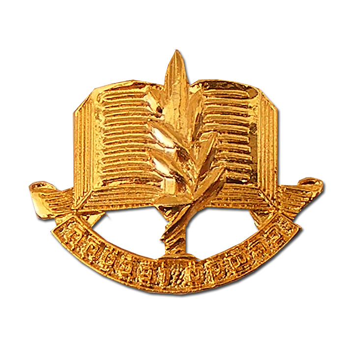 The I.D.F Boarding Command School Gilded Badge.