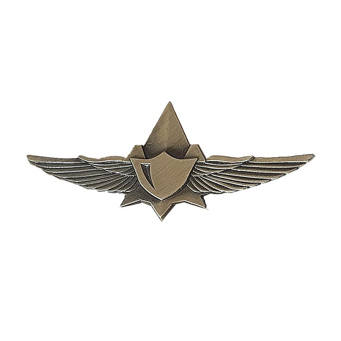 Unit 504 field investigator symbol pin
