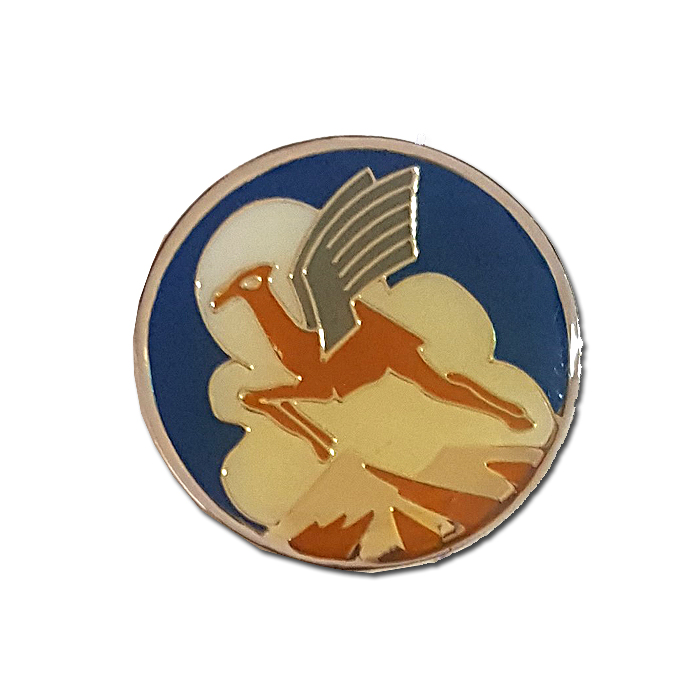 The Flying Camel Squadron pin