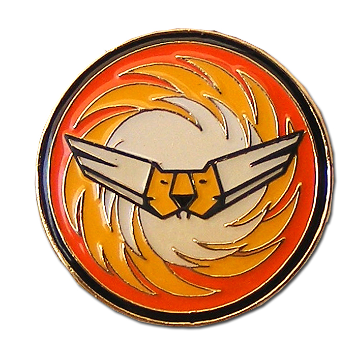 The 107th Squadron - Knights of the Orange Tail Squadron