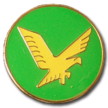 AF Squadron Pin #97