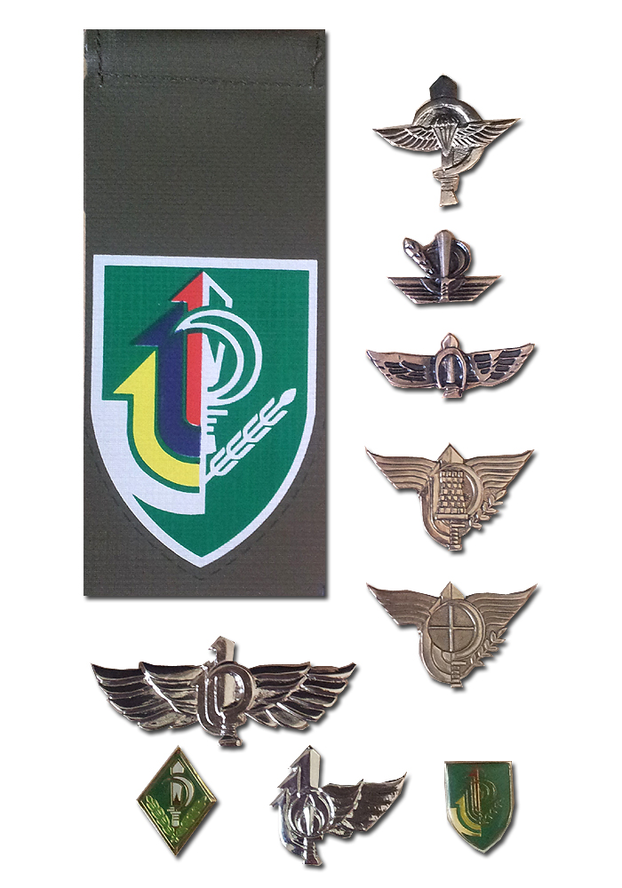 Israeli Army military IDF "Nahal" Infantry Brigade Symbols Pins Shoulder tag